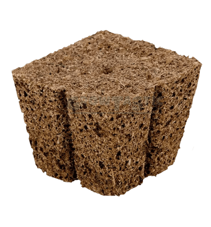 Eazy Plug Stecklings-Tray, 77 Stk | 3.5 x 3.5cm