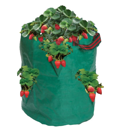 Garland Aufzuchtsack Erdbeeren