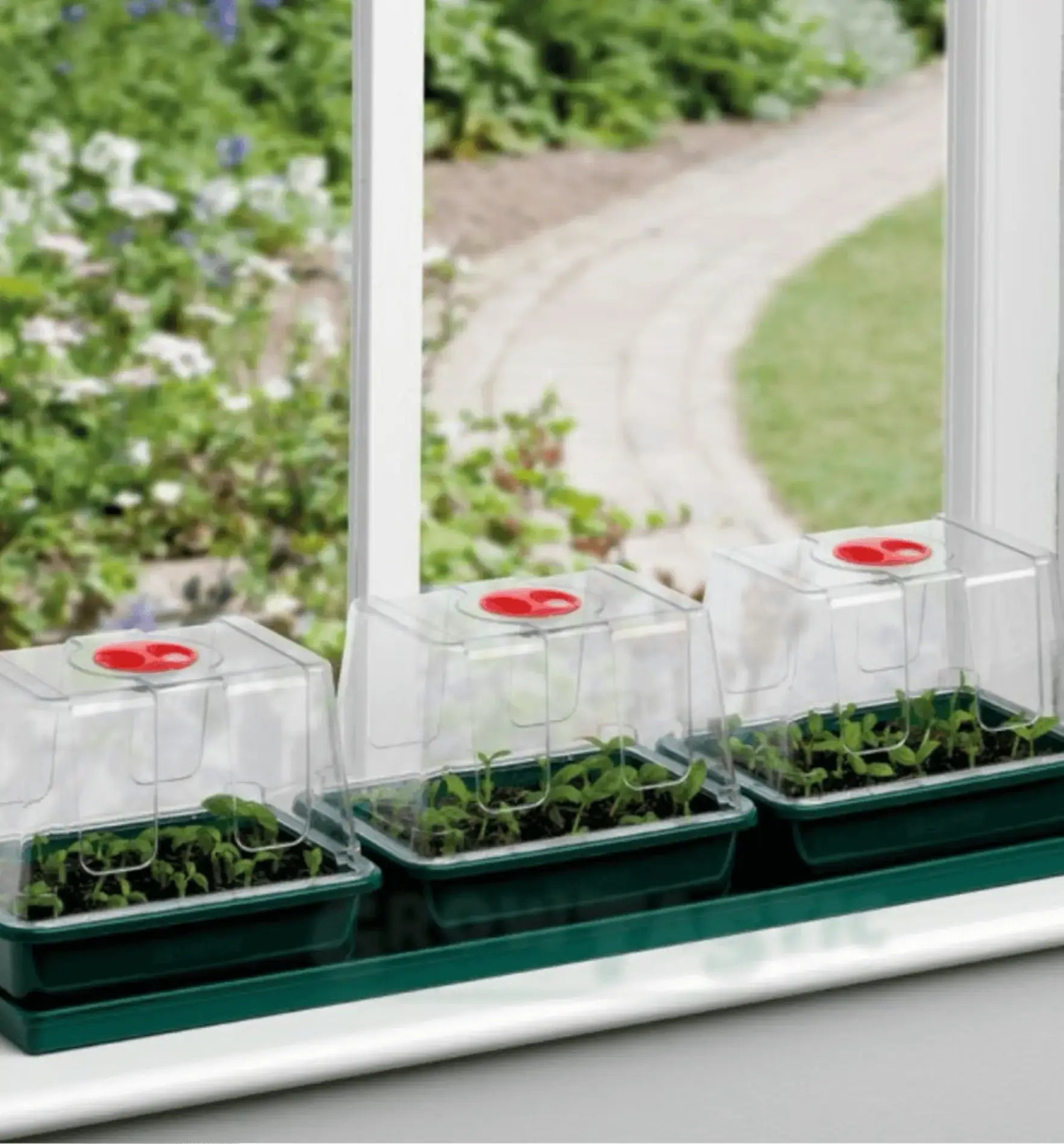 Garland Fenstertreibhaus Standart