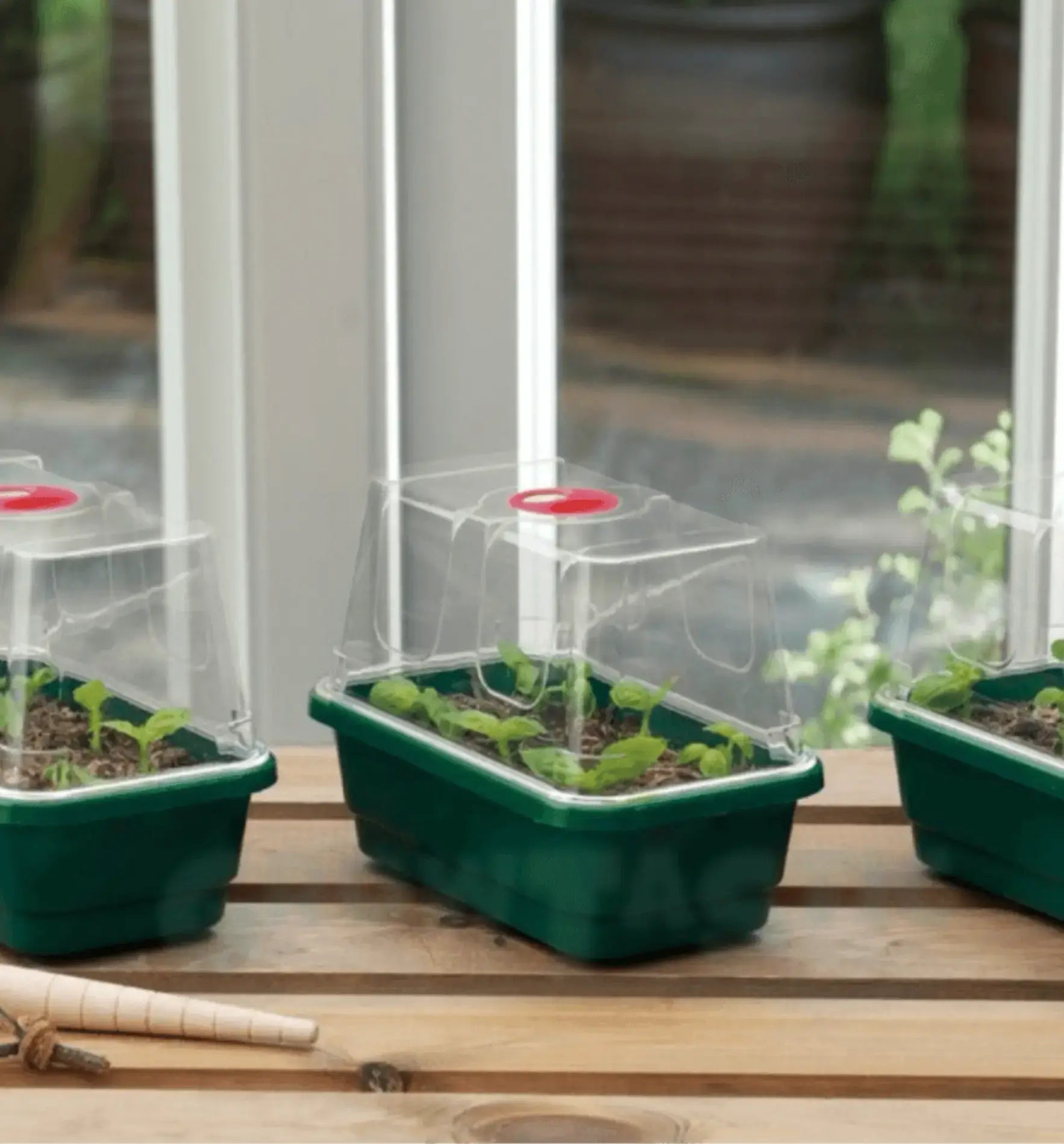 Garland High Dome Propagator  Mini