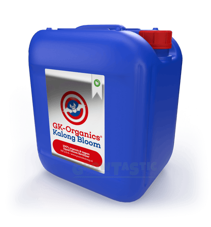 GunaoKalong Kalong Bloom