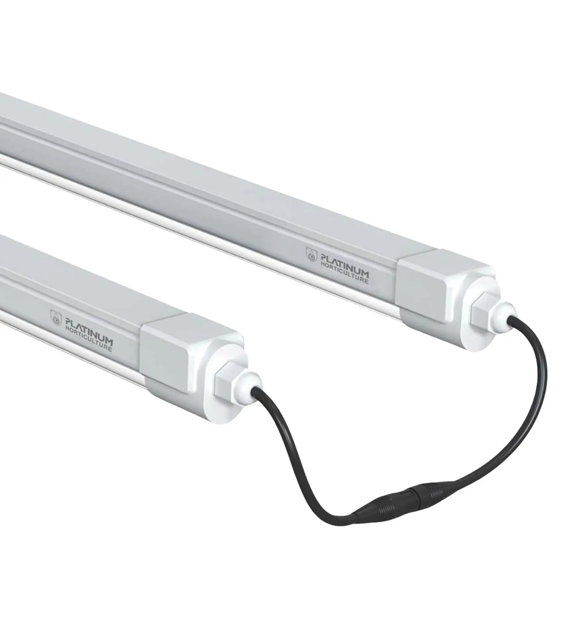 Horticulture Platinum Clone LED Pflanzenleuchte, 18W, 6500K, helle weiße Lichtquelle für gesunde Pflanzenwuchs.