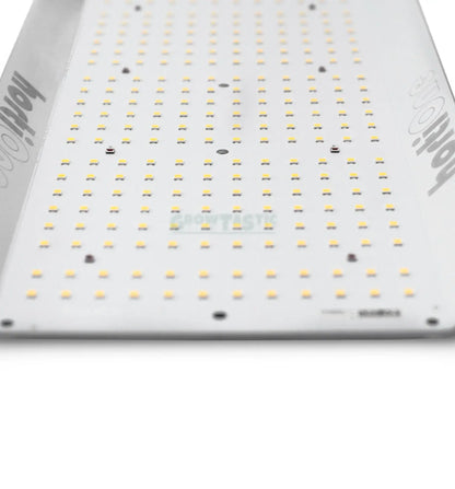 Hortione LED 420 150W 408µmol/s