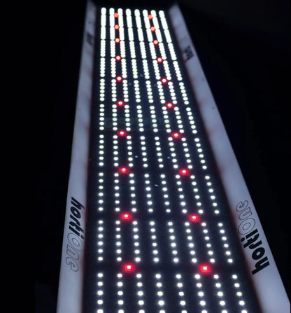 Hortione LED 600 220Watt 2
