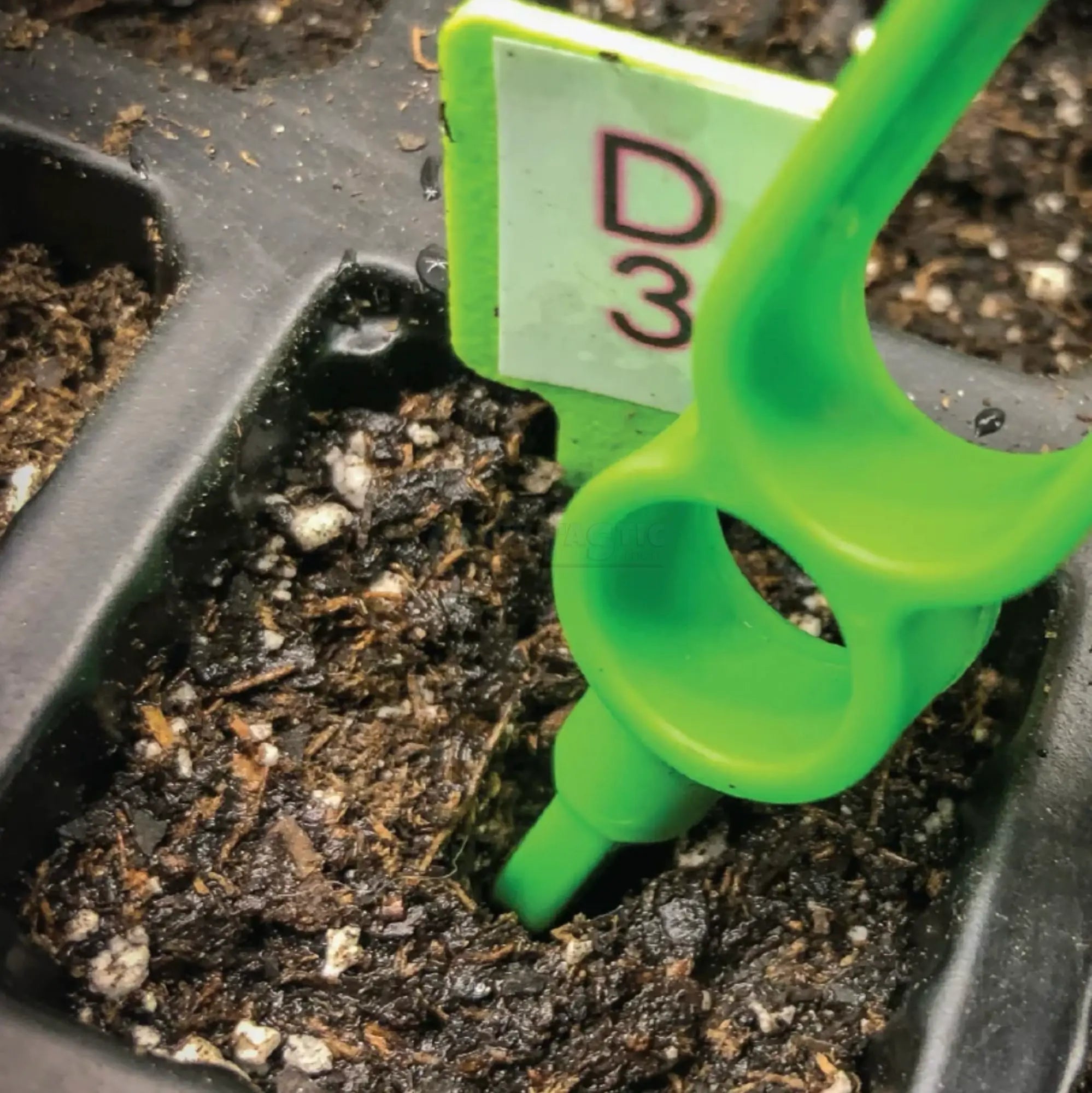 KAN® Germination 