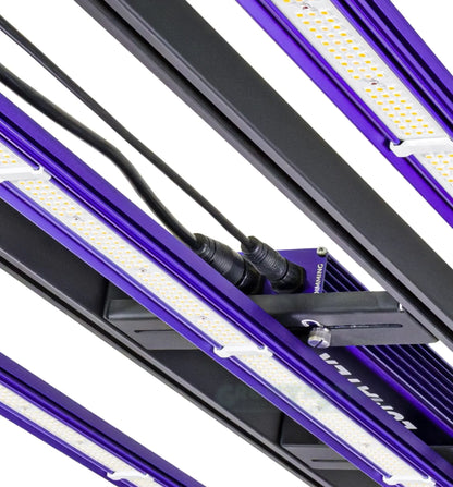 Lumatek Zeus 300W Pro 3.1 4