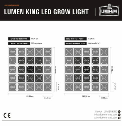 Lumen King Grafik 6