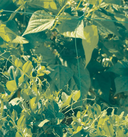 Nortene Trellinetz Rolle 1.2 x 100 Meter