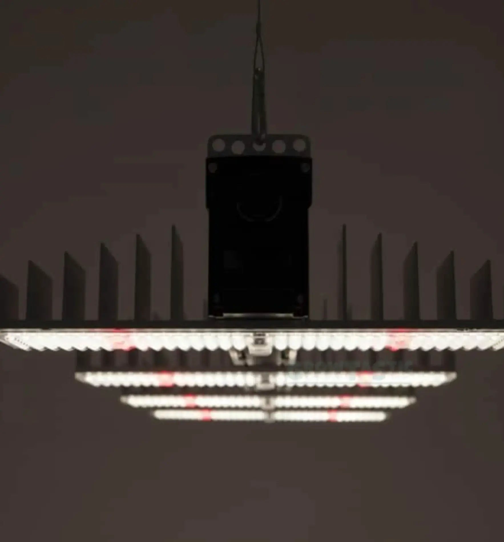 Sanlight EVO beleuchtet