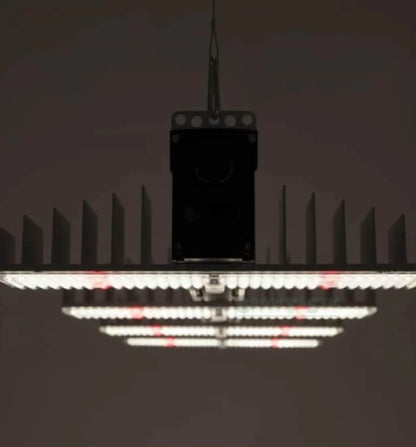 Sanlight EVO beleuchtet