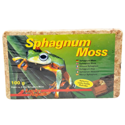 Sphagnum Moss - Moos von Lucky Reptile