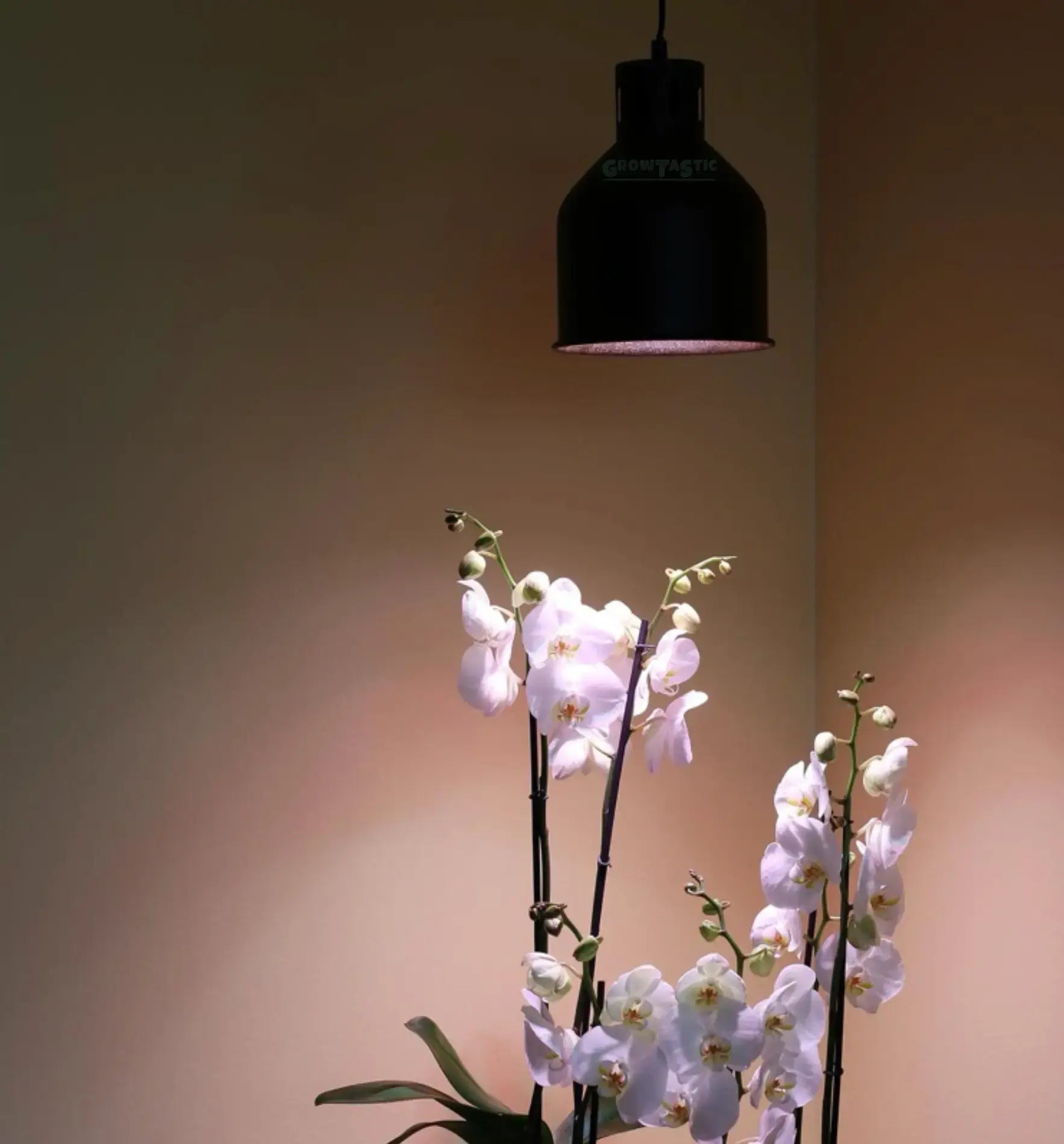 LAmpenschrim Pflanzelampe