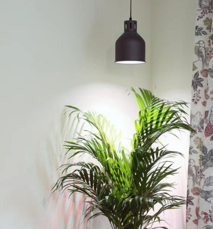 LAmpenschrim Pflanzelampe