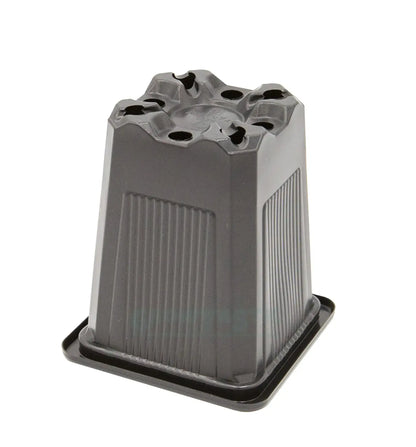 Vierkant Topf Teku Stecklings Topf 1