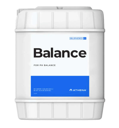 Athena Balance Korrekturflüssigkeit in 946 ml Flasche, weiße Flüssigkeit zum Korrigieren von Schreibfehlern, von Athena.