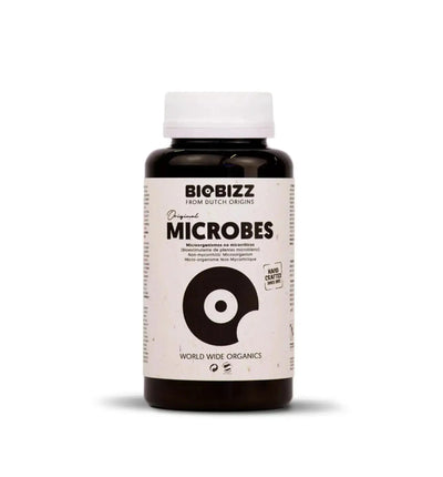 BioBizz Microbes Dünger in 150 g, natürliche Mikroorganismen für gesunde Pflanzen, BioBizz Markenqualität