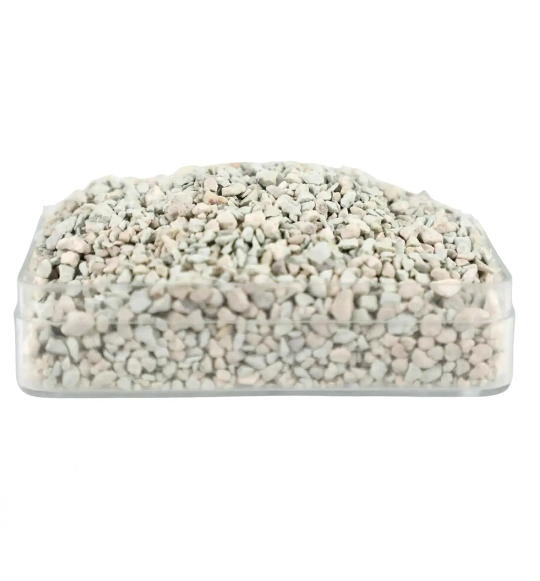 Biogarten Myradix Mykorrhiza-Pilze für Pflanzenstärkung, 200 g, biologisches Wachstum, von Biocontrol & Biogarten