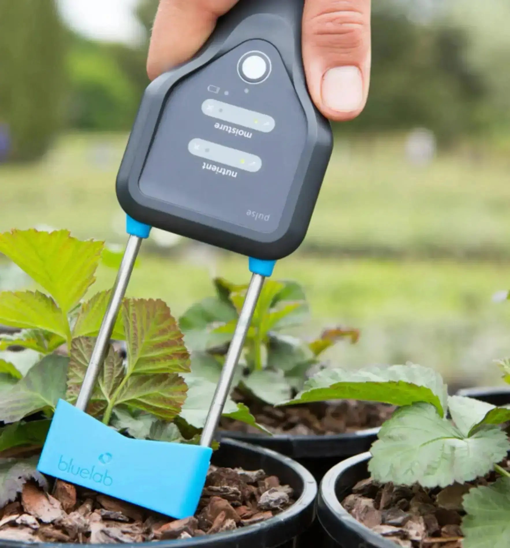 Bluelab Pulse Meter, digitales Messgerät zur Überwachung von Wasserqualität und Nährstoffgehalt in Aquarien und Hydrokulturen