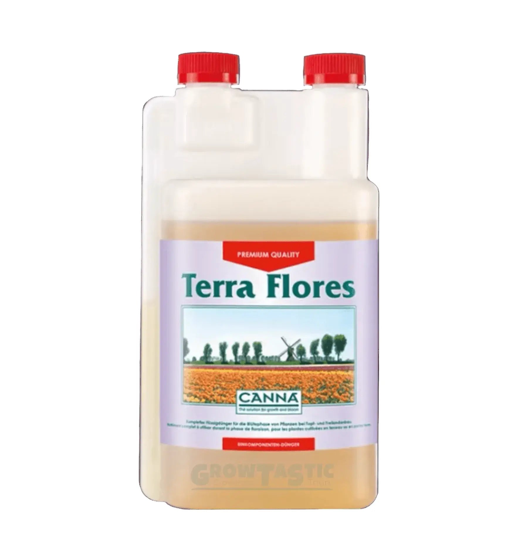 Canna Terra Flores