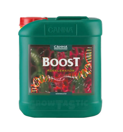 Canna Boost Accelerator Dünger Flasche mit 250 ml für gesunde Pflanzen und verbessertes Wachstum, von Canna.