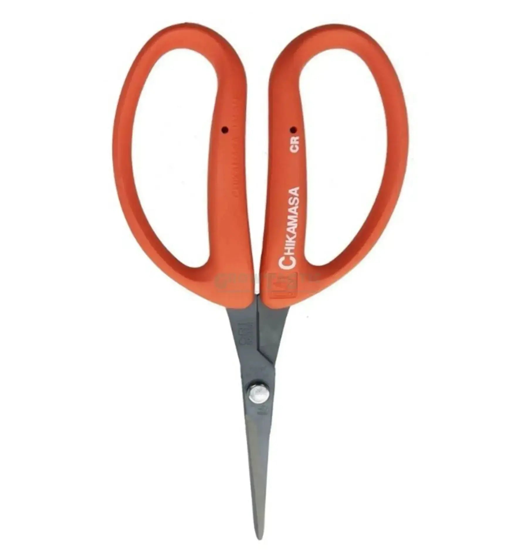 Schere - Chikamasa Scissor CRI-550SRF