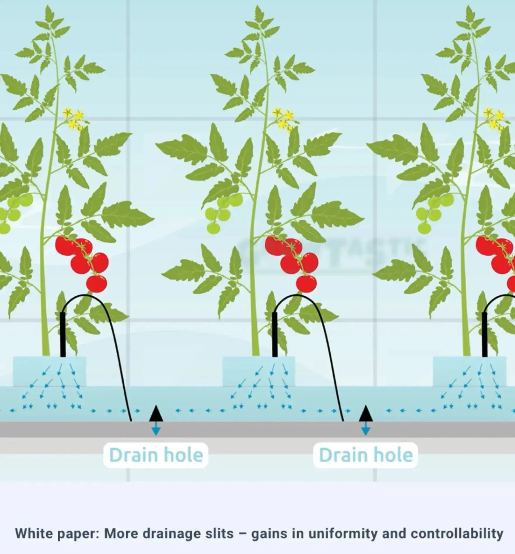 Cultilene Slabs Steinwolle 4