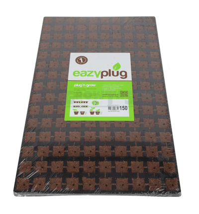 Eazy Plug Stecklings-Tray mit 150 Anzuchtmedien, 2,5 x 2,5 cm, für die Pflanzenanzucht, in einer Naturaufnahme.