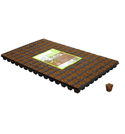 Eazy Plug Stecklings-Tray mit 150 Anzuchtmedien, 2,5 x 2,5 cm, für Pflanzenanzucht, natürliche Wachstumsbedingungen.