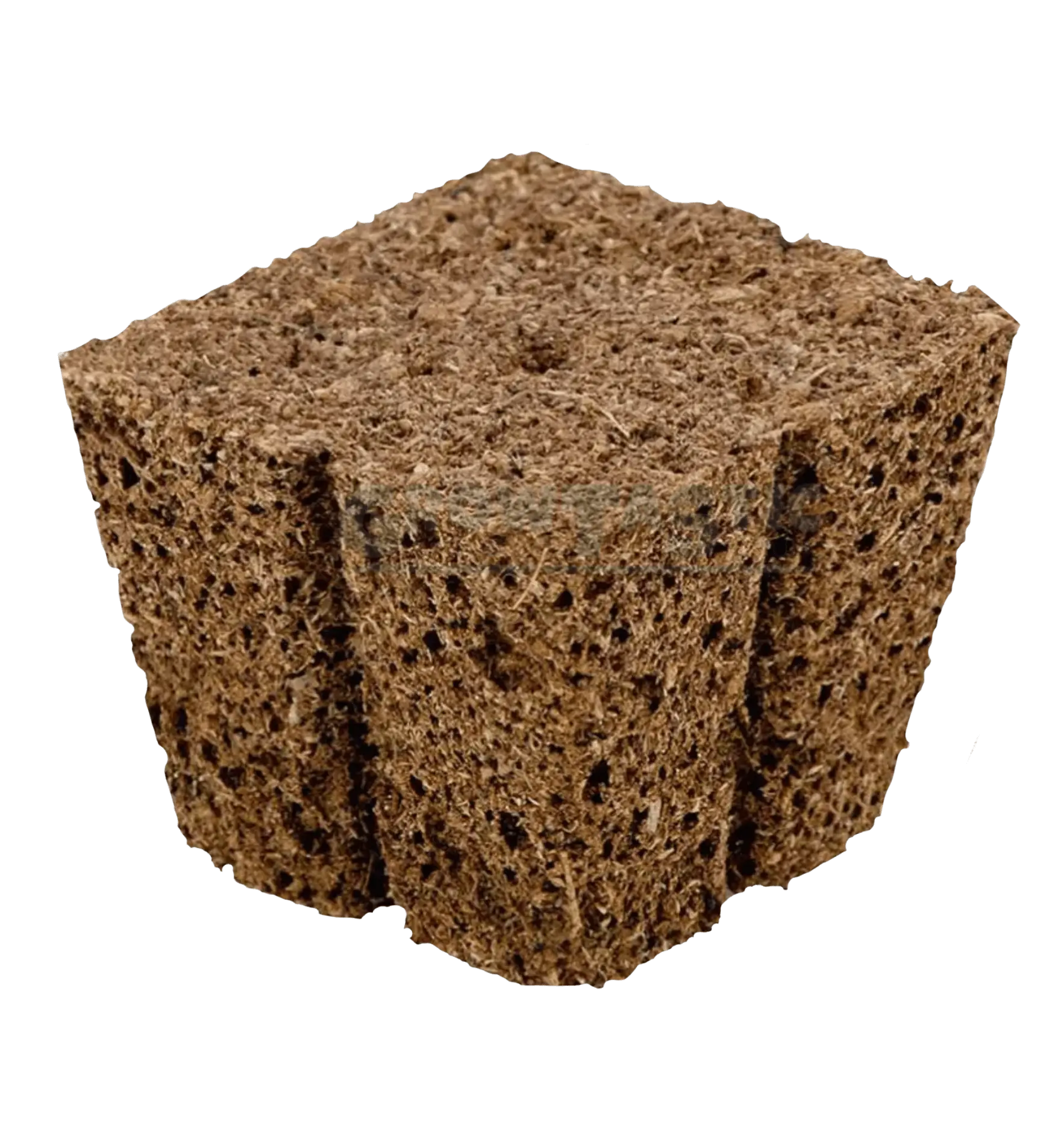 Eazy Plug Stecklings-Tray, 77 Stk | 3.5 x 3.5cm