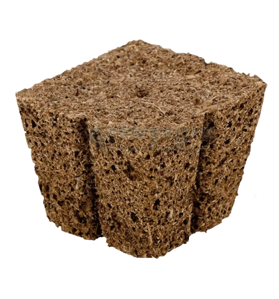 Eazy Plug Stecklings-Tray mit 77 Anzuchtmedien, 3,5 x 3,5 cm, ideal für die Aufzucht von Pflanzen.