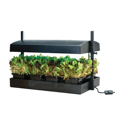Beleuchtetes Anzuchtsystem Garland Grow Light Garden mit LED-Licht, 50 x 20 x 45 cm, für gesunde Pflanzenzucht