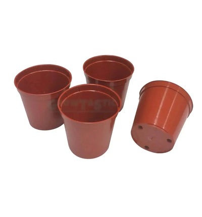 Garland Pflanztopf für Samenschale, Ø 6 cm, Set mit 40 Stück, langlebiges Kunststoffgefäß für Pflanzen und Samen.