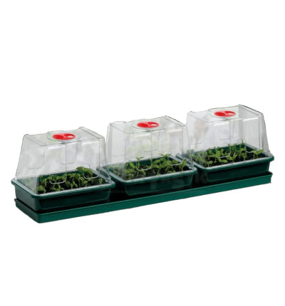 Mini-Gewächshaus von Garland mit Heizung, ideal für Fenster- und Anzuchtprojekte, aus robustem Propagator-Material.