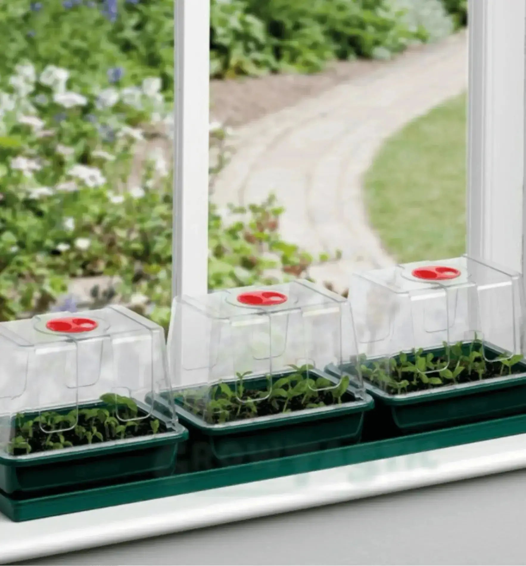 Garland Propagator für Fenster-Gewächshaus, kleines Gewächshaus mit Heizung, ideal zum Pflanzenanziehen und Keimen.