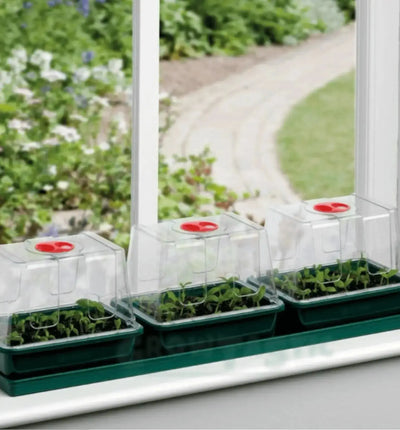Garland Propagator für Fenster-Gewächshaus, kleines Gewächshaus mit Heizung, ideal zum Pflanzenanziehen und Keimen.