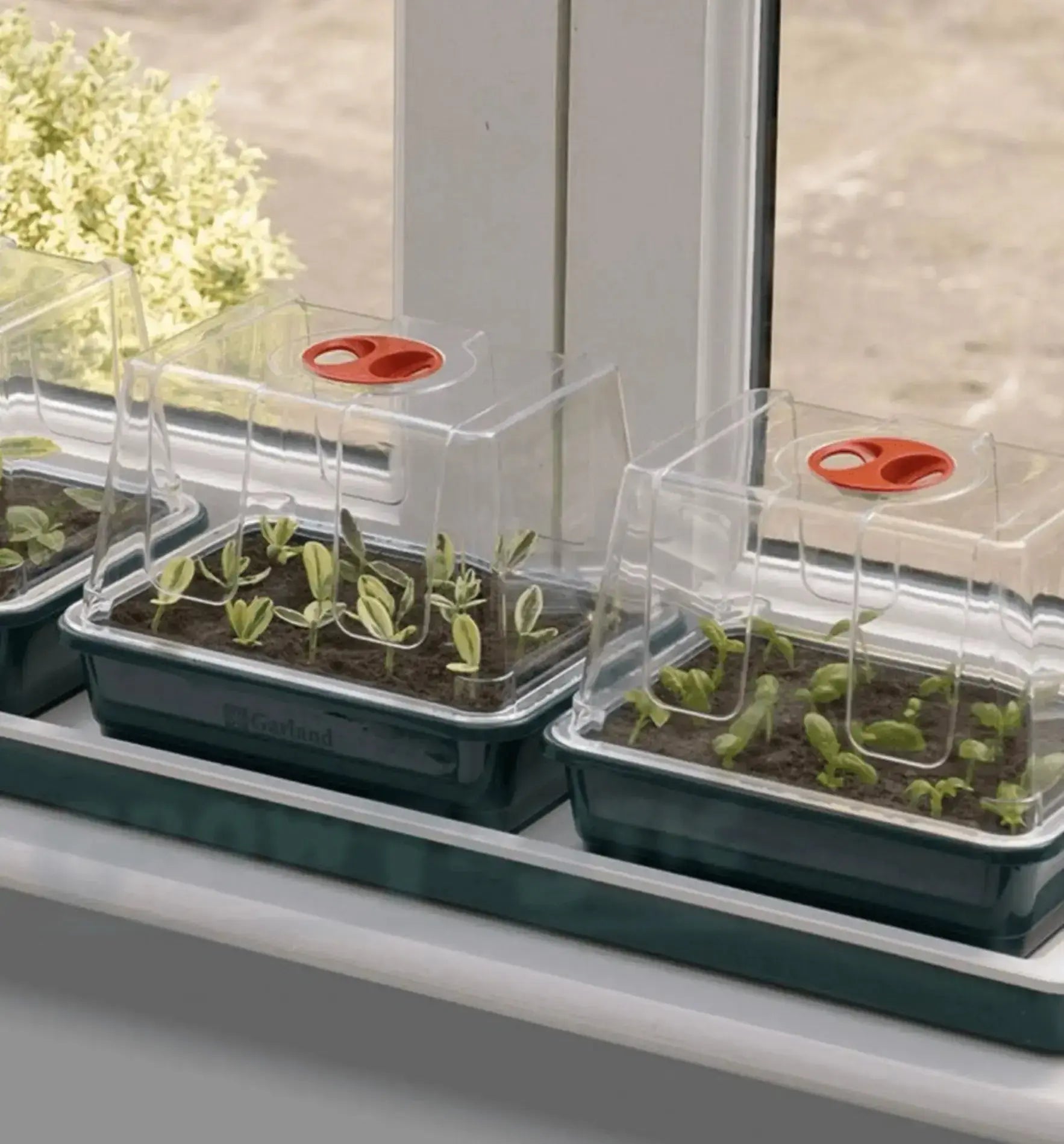 Garland Fenstertreibhaus 3 mit Heizung