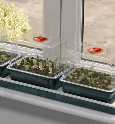 Garland Propagator für Fenster-Gewächshaus, kleines Mini-Gewächshaus mit Heizung, ideal für Pflanzenanzucht und Keimung