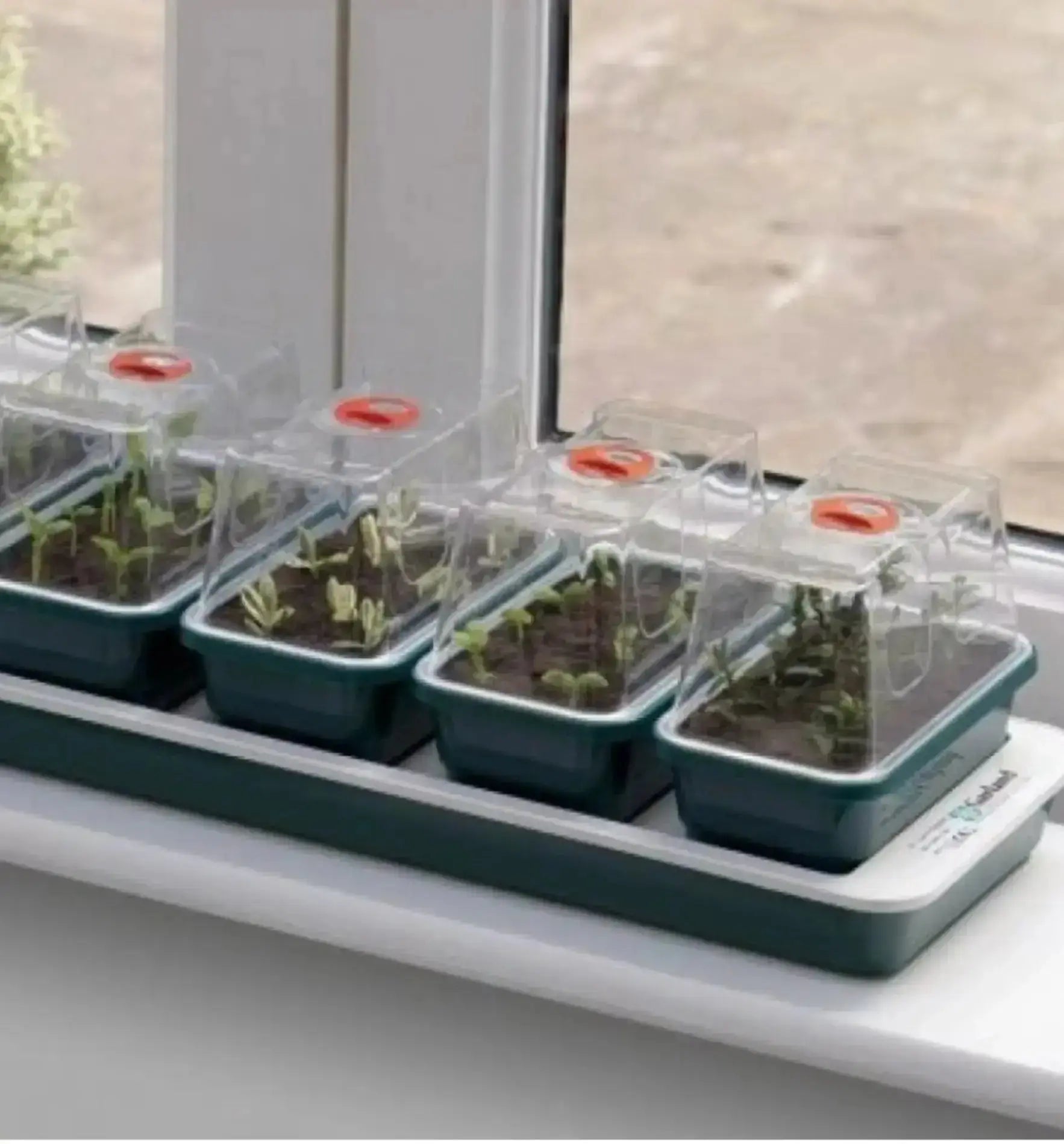 Garland Propagator für Fenster-Gewächshaus, Mini-Gewächshaus mit Heizung und transparenten Seitenwänden