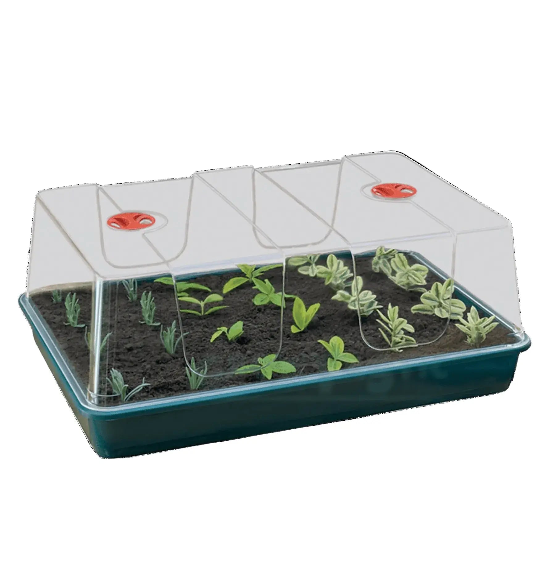 Garland Treibhaus XL High Dome 1