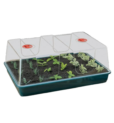 Garland Propagator im Set mit drei Hochdome aus transparentem Kunststoff, ideal für Pflanzenanzucht, Maße 17x10x12,5 cm
