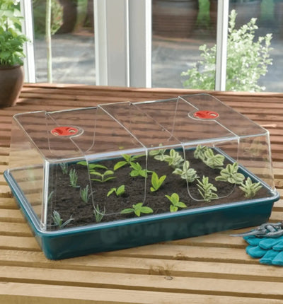 Drei Garland Hochdome Treibhaus-Propagatoren, Kunststoff, 17 cm lang, 10 cm breit und 12,5 cm hoch, ideal für Pflanzenanzucht.