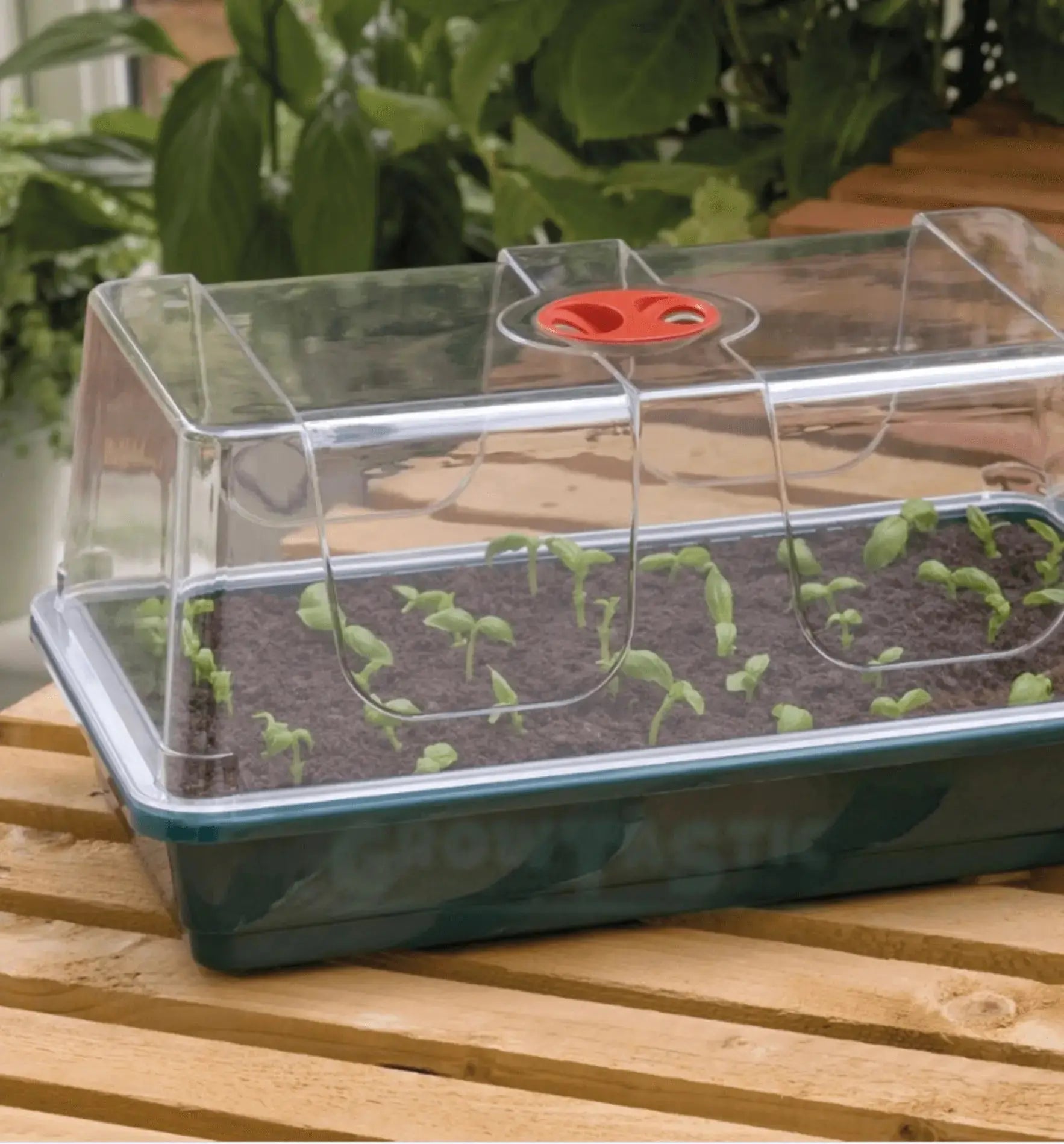 Garland Treibhaus High Dome Propagator, Set mit drei Anzuchtdomes, ideal für Pflanzenanzucht, aus transparentem Kunststoff.