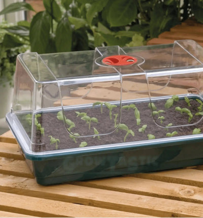 Garland Treibhaus High Dome Propagator, Set mit drei Anzuchtdomes, ideal für Pflanzenanzucht, aus transparentem Kunststoff.
