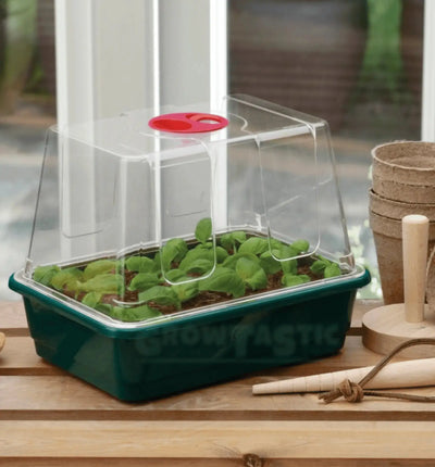 Garland Propagator im Set mit Hochdome, 17 cm lang, 10 cm breit, 12,5 cm hoch, ideal für Pflanzenanzucht