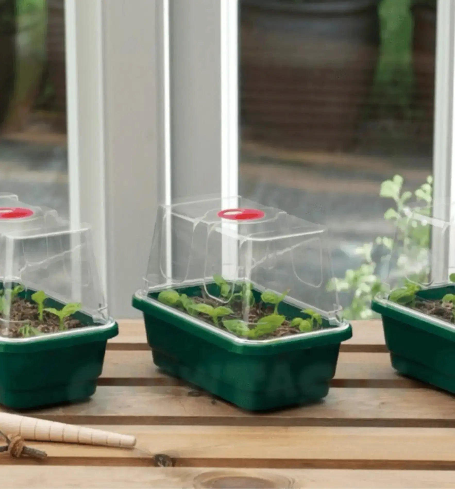 Garland High Dome Propagator  Mini
