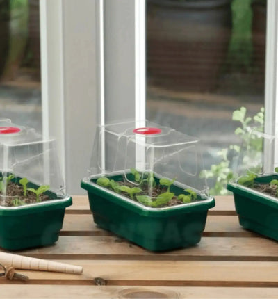 Garland Propagator im Set mit hohen Dome, 17 cm lang, 10 cm breit, 12,5 cm hoch, ideal für Pflanzenanzucht.