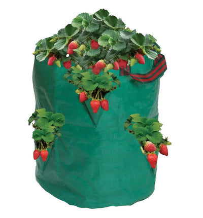 Garland Aufzuchtsack für Urban Gardening, Hängebeutel zum Anpflanzen von Blumen, 25 x 56 cm, flexible Pflanzlösung