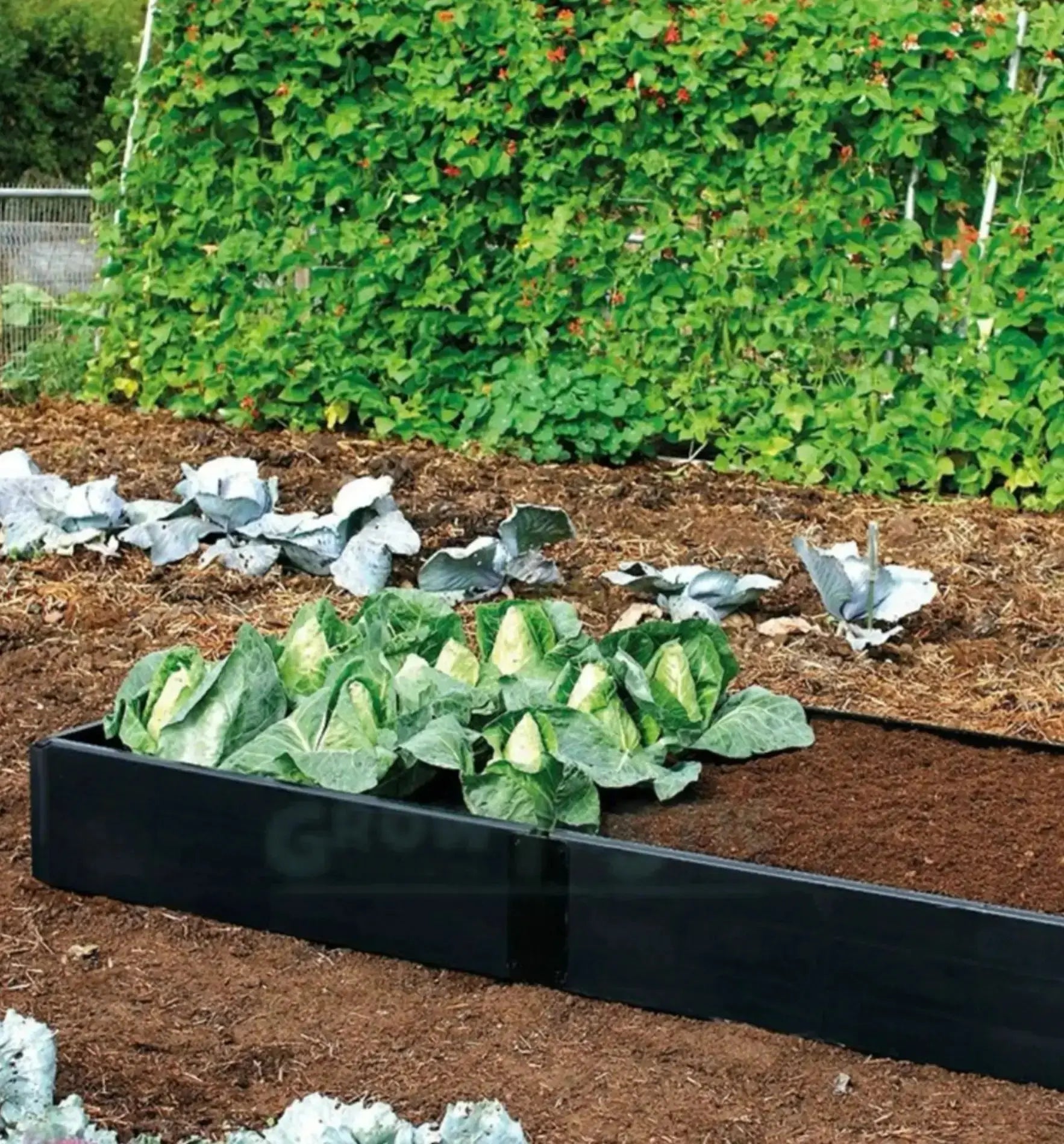 Urban Gardening Garland Grow Bed, Mini-Gewächshaus mit 97,5 x 51 x 25 cm, für urbanes Gärtnern mit 115 Litern Kapazität