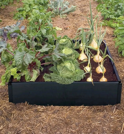 Urbanes Gartengestell von Garland, Mini-Grow-Bed mit 97,5 x 51 x 25 cm, ideal für städtisches Gärtnern