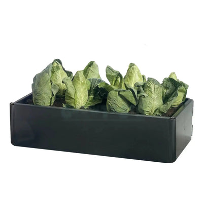 Garland Urban Gardening Mini-Grow-Bed mit 97,5 x 51 x 25 cm, ideal für städtisches Gärtnern, aus robustem Material
